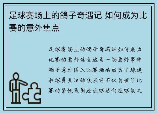 足球赛场上的鸽子奇遇记 如何成为比赛的意外焦点