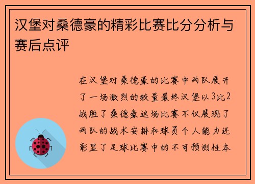 汉堡对桑德豪的精彩比赛比分分析与赛后点评