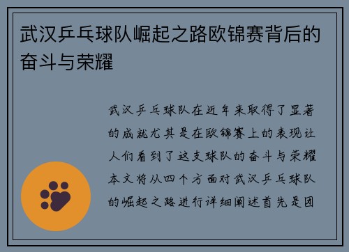武汉乒乓球队崛起之路欧锦赛背后的奋斗与荣耀