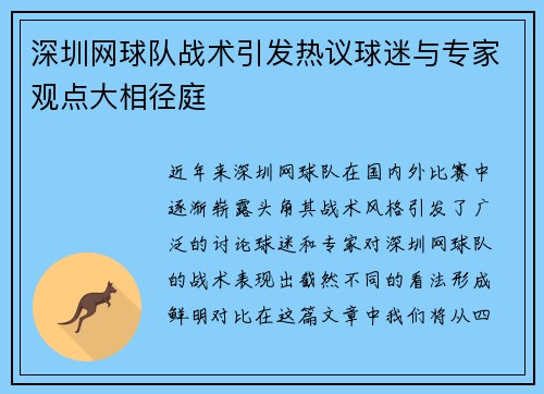 深圳网球队战术引发热议球迷与专家观点大相径庭